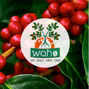 Café Woho